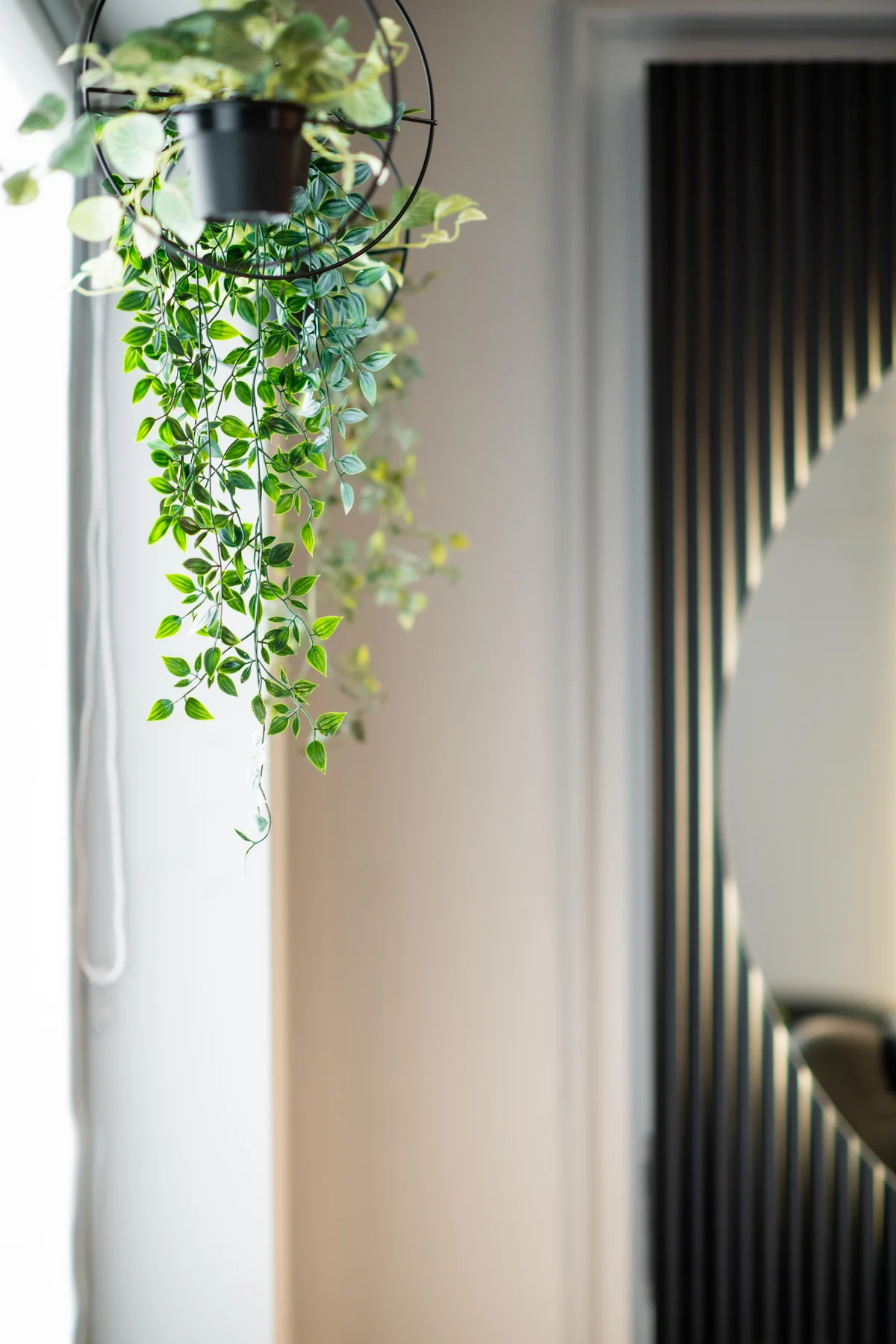 Beauty by AA — hanging plant, slatted radiator and round mirror